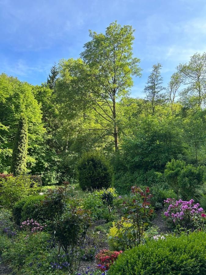 Wald-Idyll: Urlaub Im Gruenen Apartment Bad Harzburg Exterior photo